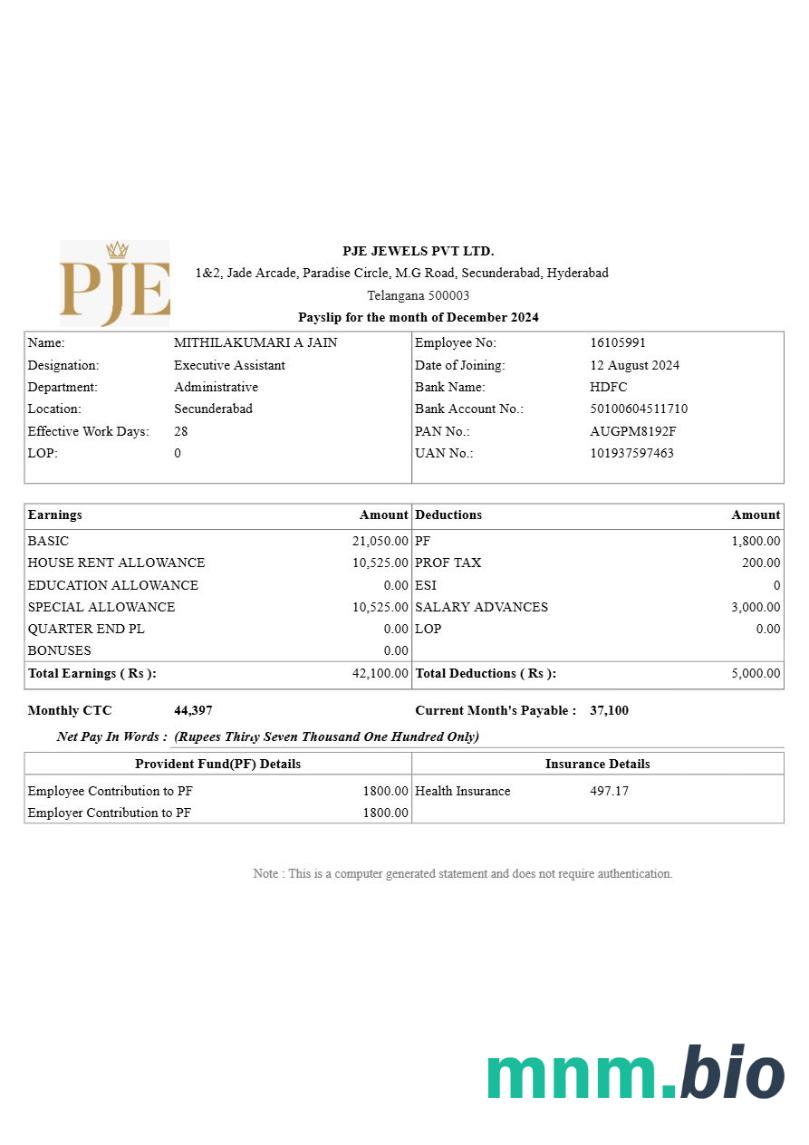 Szablon PJE Jewels payslip w formatach Word i PDF